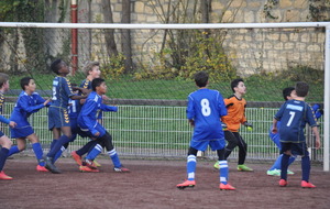 Coupe Festival  U13 