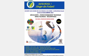 Stage de Futsal à noël 