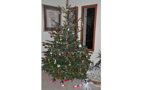 Joyeux Noel 